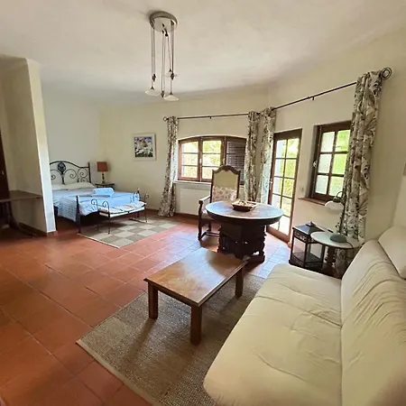 Carolina Villa *